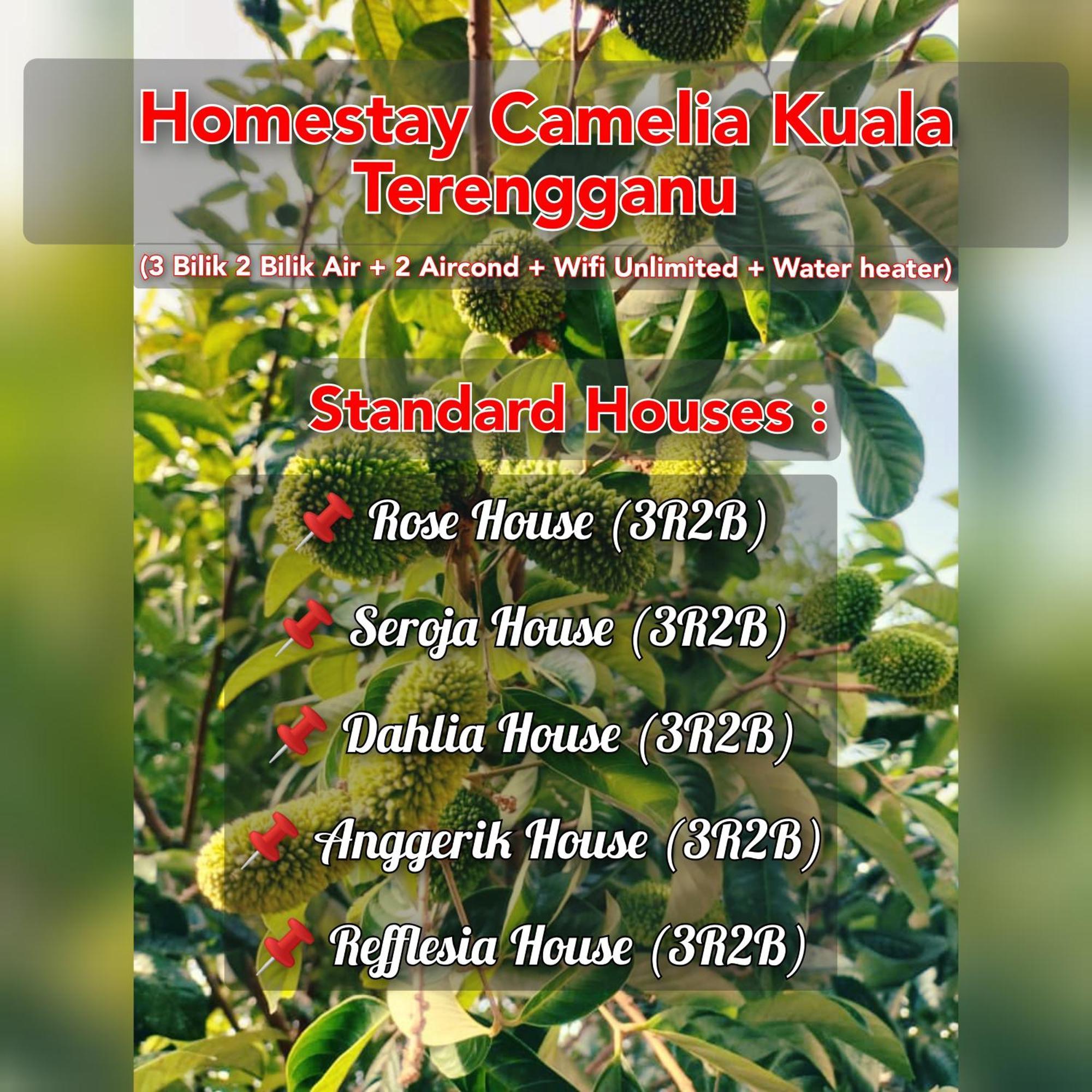 Homestay Camelia Kuala Terengganu Houses 3 Room 2 Bathroom - Near Batu Buruk Beach , Drawbridge, Pasar Payang, Ktcc Mall & Hospital Hsnz Exterior foto